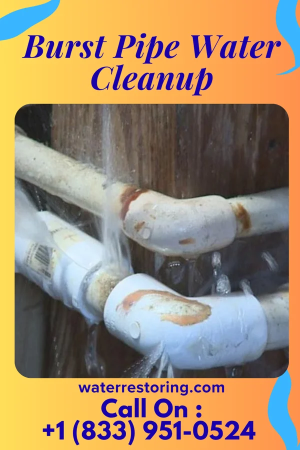 Burst Pipe Water Cleanup in Van Wyck, SC