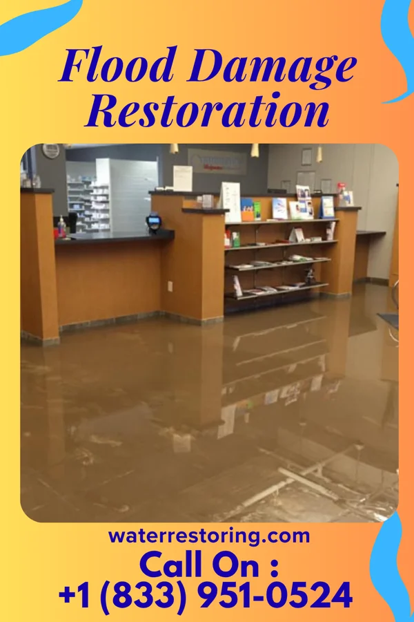 Flood Damage Restoration in Van Wyck, SC