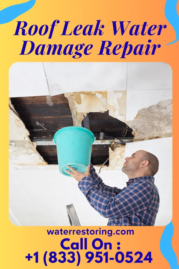 Roof Leak Water Damage Repair in Van Wyck, SC